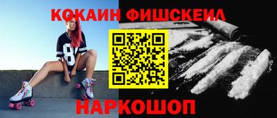индика Гатчина