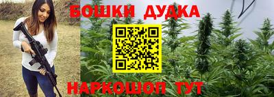 индика Гатчина