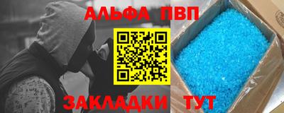 индика Гатчина