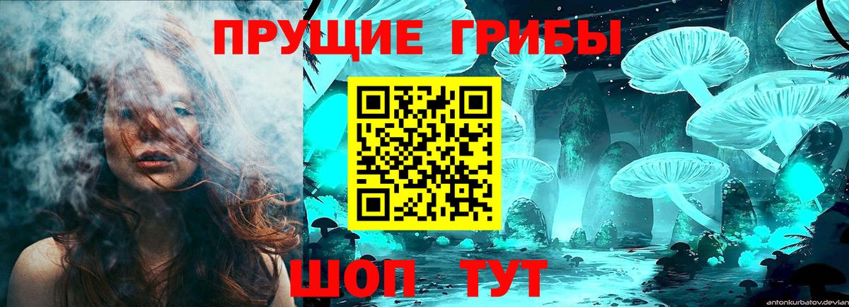 Псилоцибиновые грибы мицелий  Вход с VPN  Междуреченск 