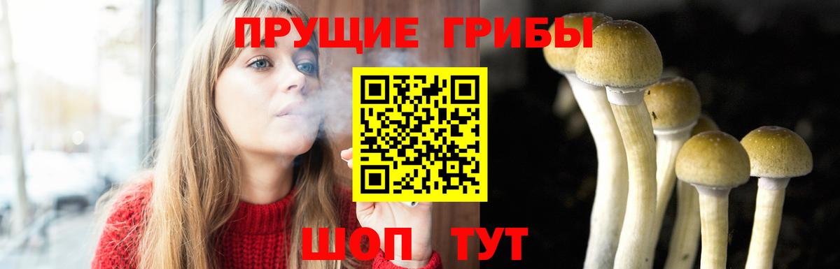 Псилоцибиновые грибы мицелий Междуреченск